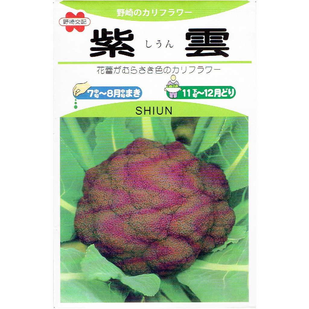 紫色花椰菜 優惠推薦 21年6月 蝦皮購物台灣