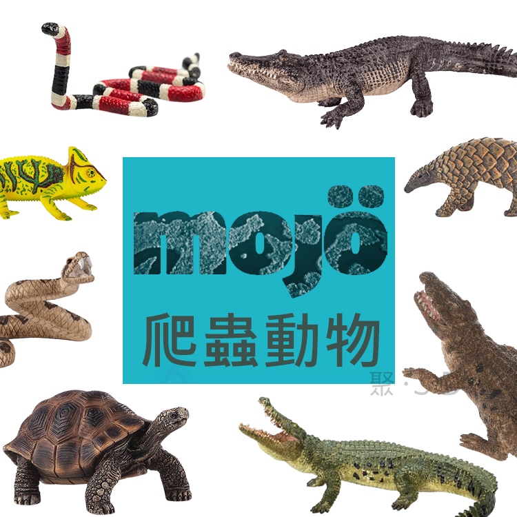 聚聚玩具【正版】Mojo Fun 動物星球-動物模型-爬蟲模型  鱷魚/烏龜/變色龍/樹蛙/穿山甲/眼鏡蛇