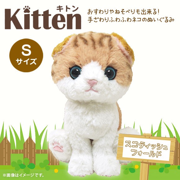 現貨💖日本 Sunlemon Kitten  坐姿 貓咪 摺耳貓 療癒系 絨毛 小貓 肉球 交換禮物 玩偶 娃娃