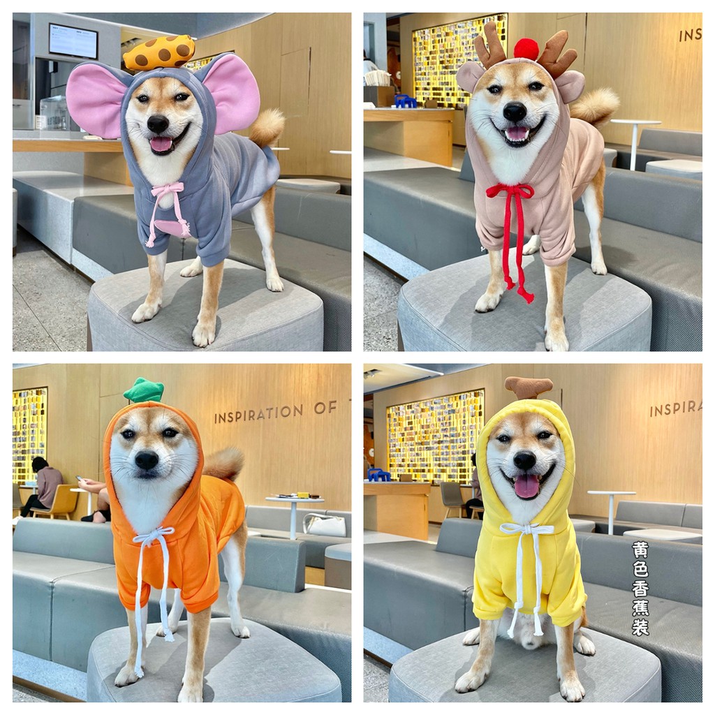 現 預 香蕉愛心青蛙寵物帽t 寵物服飾狗衣服中型犬大型犬雪納瑞西高地比熊柯基法鬥柴犬米克斯 蝦皮購物