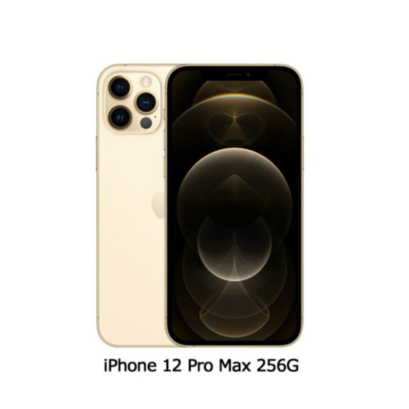 Apple iPhone 12 Pro Max (256G)-金色