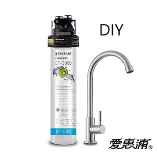 愛惠浦 PurVive EF3000強效碳纖維長效型淨水器(除塑化劑)~DIY