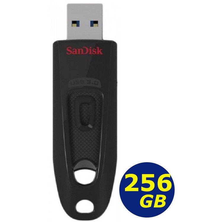 SanDisk 256GB 256G Ultra SDCZ48-256G CZ48 BSMID31490 USB 隨身碟