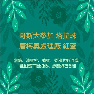 「線上獨家」SCA國際認證 黑果精品咖啡 哥斯大黎加 黃金塔拉珠 唐梅奧處理廠 紅蜜 450g