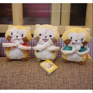 【胖麻糬】小浣熊 rascal 拉斯卡爾 冬季披肩娃娃 抓樂霸 toreba 現貨