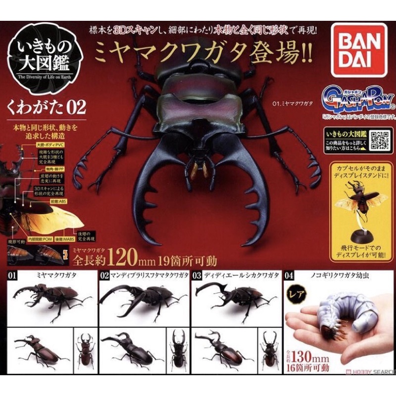 💋 （童心未泯）萬代 轉蛋 扭蛋 生物大圖鑑 鍬形蟲02 模型 公仔