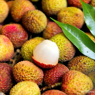 【鮮果日誌】宮廷珍饌特級玉荷包荔枝(4臺斤精美禮盒裝)
