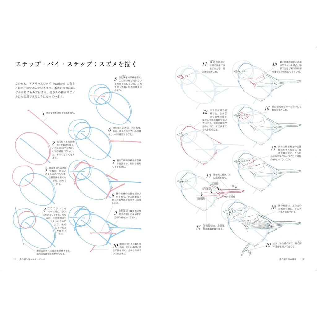 代訂 空運 日版書籍 鳥類姿態描繪技法完全講座 蝦皮購物