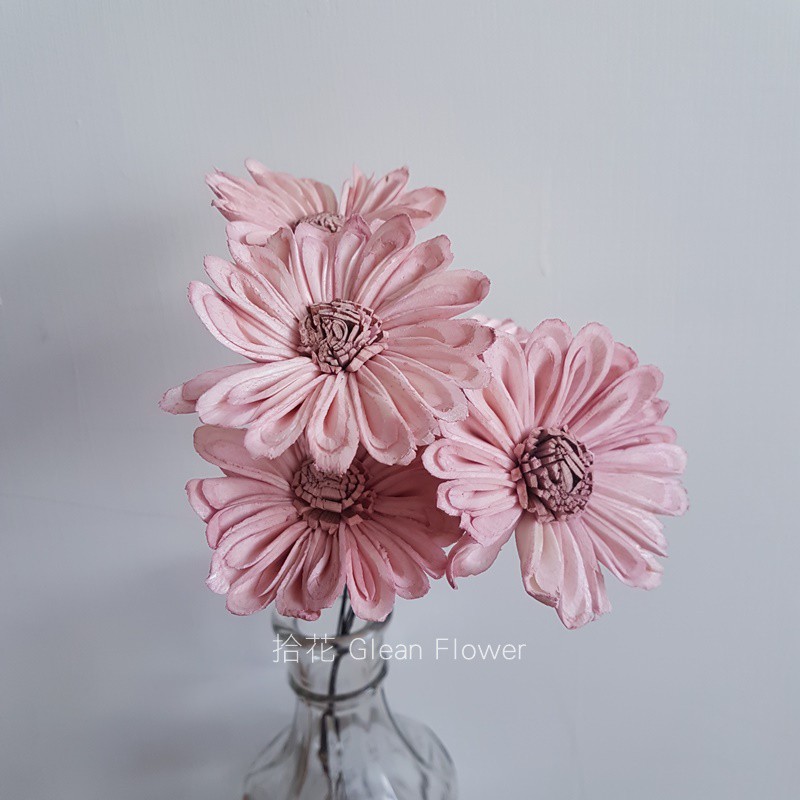 拾花 太陽花索拉花 粉色 乾燥花素材 蝦皮購物