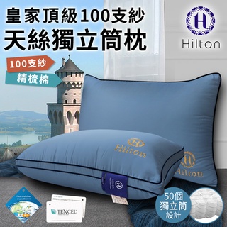 【樂樂生活精品】 免運費 【Hilton希爾頓】皇家頂級100支紗天絲獨立筒枕(愛琴海藍) (請看關於我) MG