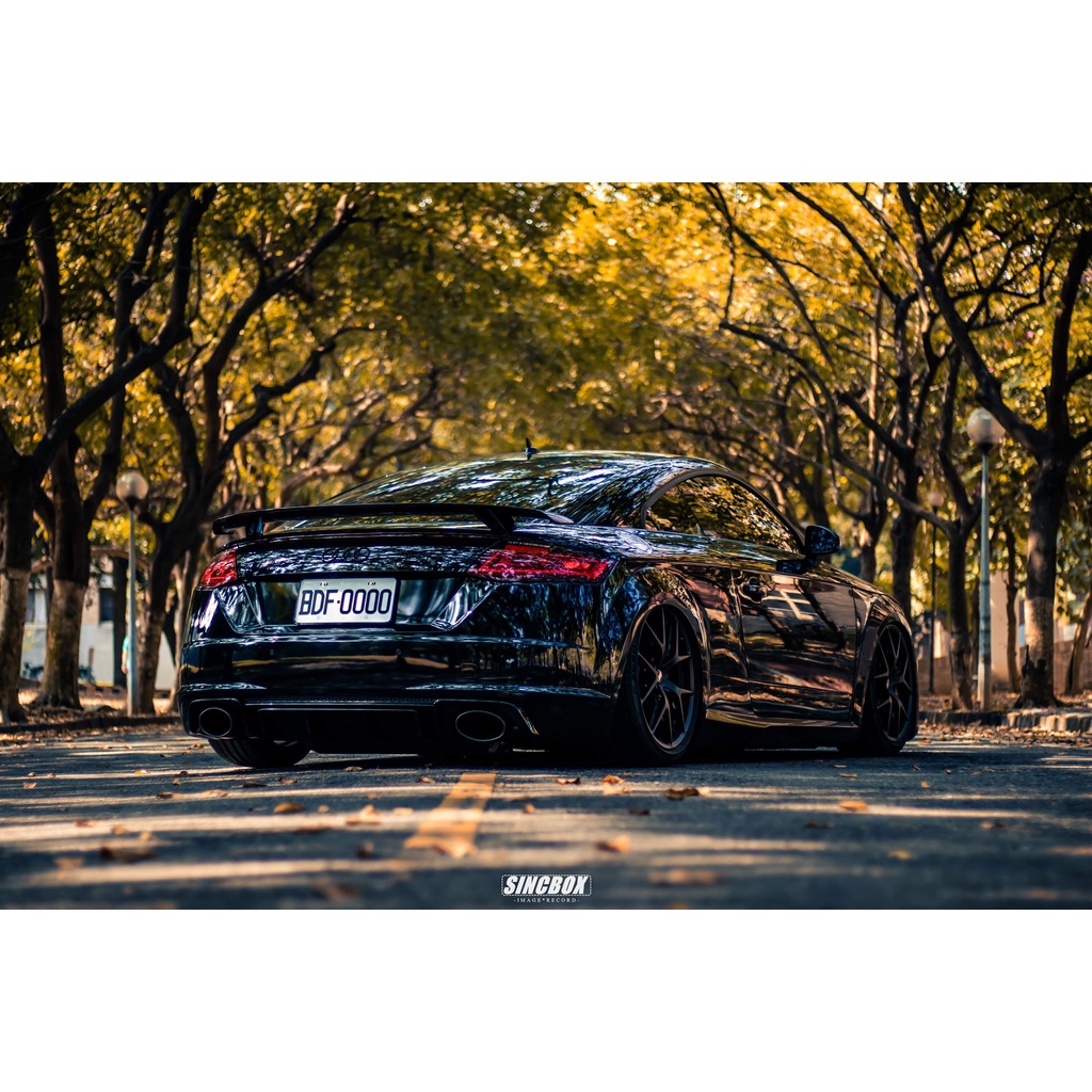 AUDI TTRS 原廠尾翼