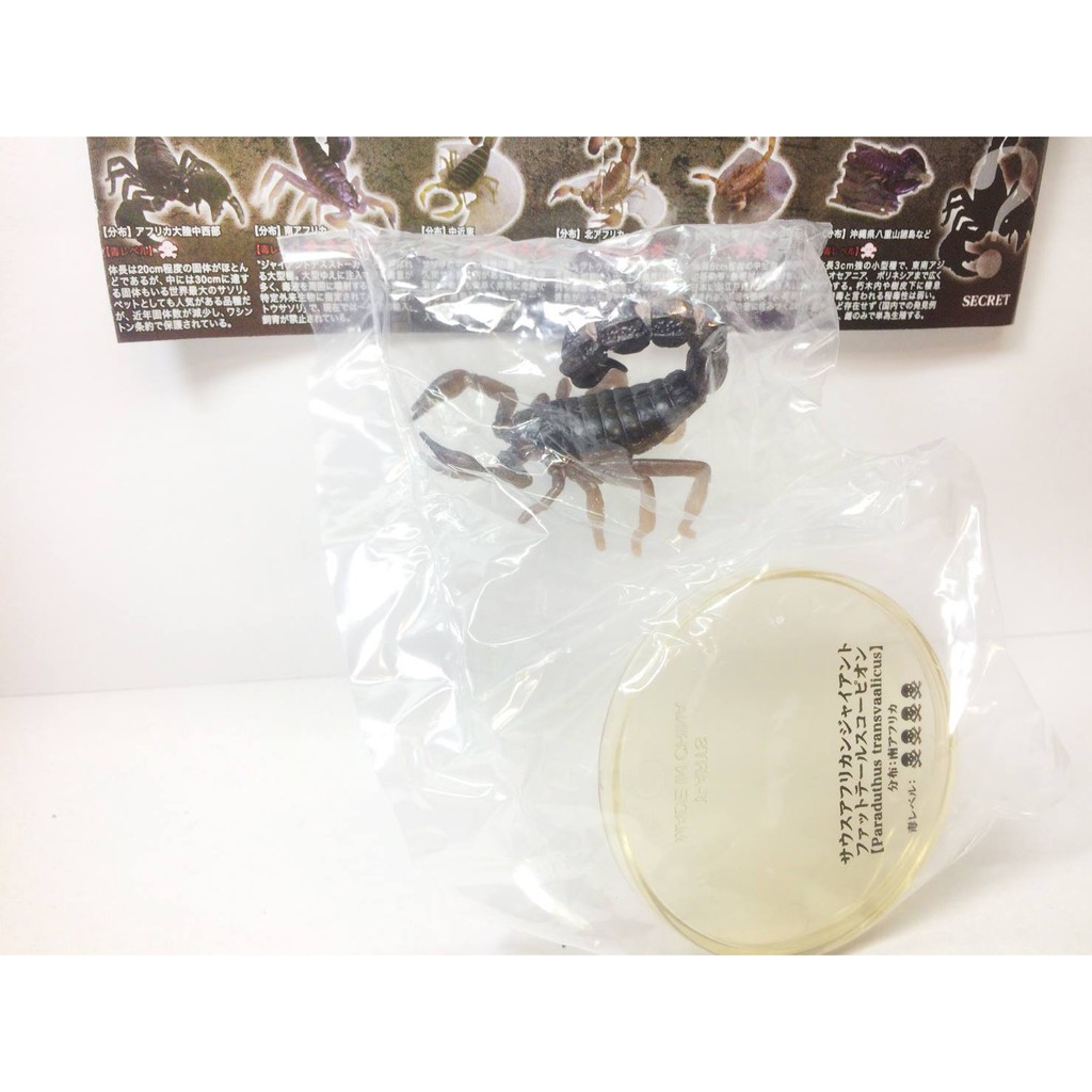 絕版品takara Tomy Arts 不思議生物大百科刺毒之侵入者毒蠍篇扭蛋轉蛋蠍子扭蛋蠍子蠍 蝦皮購物