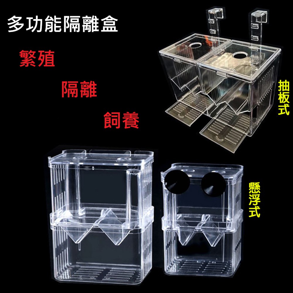 現貨 隔離盒多功能隔離盒產子盒懸浮繁殖盒抽版式隔離箱孵化盒飼養盒病魚隔離鬥魚孔雀魚仔魚隔離 蝦皮購物