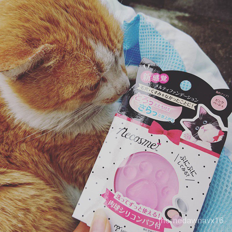 肉球霜 Ptt Dcard討論與高評價網拍商品 21年10月 飛比價格