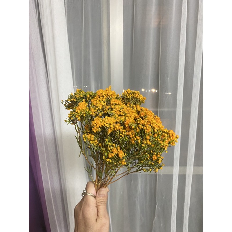 花開四月維多梅香磚蠟燭浮游花花束材料 蝦皮購物