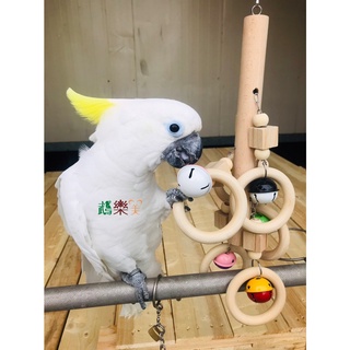 『鵡樂天』木環風鈴鸚鵡鳥玩具台灣製手作系列👍鸚鵡啃咬玩具磨嘴吊掛攀爬玩具拉扯玩具