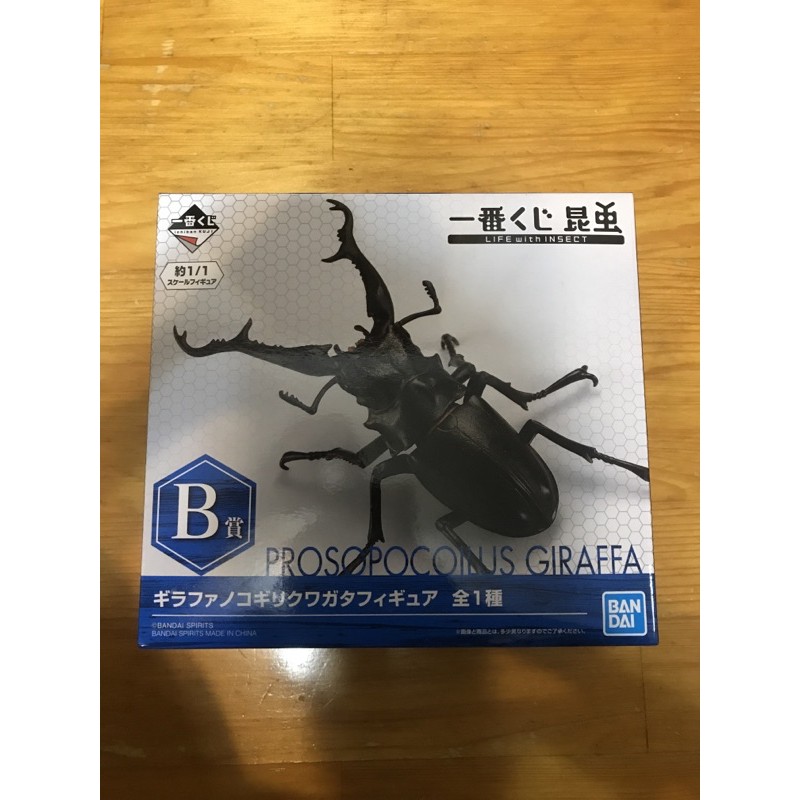 昆蟲一番賞 B賞 台灣代理