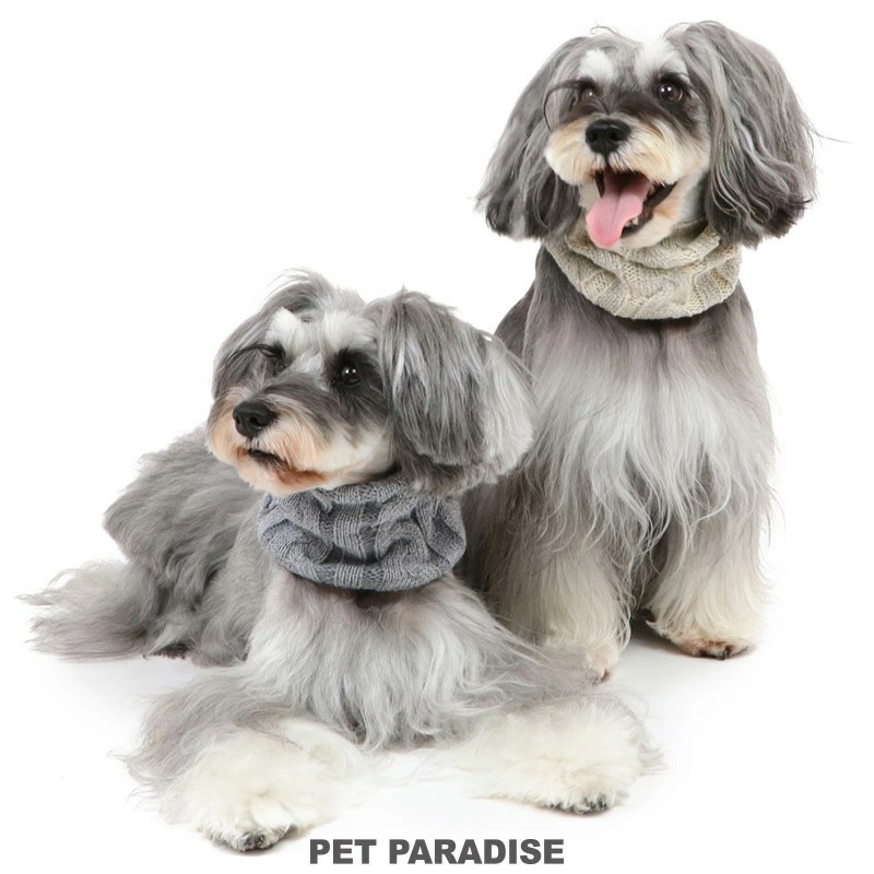 貝果貝果 日本 pet paradise 反光針織圍巾 [A3365]