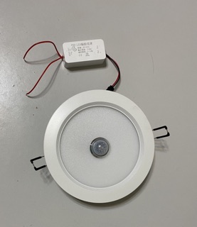 ㄚ青電火球 人體感應崁燈 LED 12w 感應燈 孔15公分