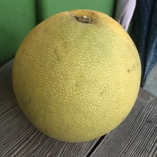 柚庭千景 優惠推薦 21年9月 蝦皮購物台灣