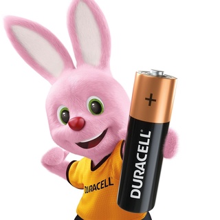 Duracell 金頂 鹼性電池 卡裝 金頂電池 1號 2號 3號 4號 9V 1入 2入 4入 8入 12入