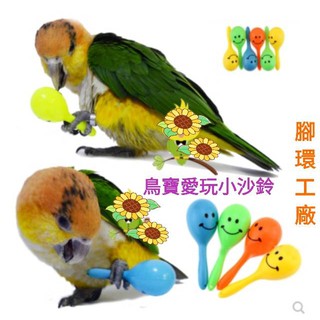 鳥寶搖滾樂~鳥寶愛搖搖-小沙鈴(腳握小玩具)