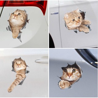 🔥臺灣現貨🔥新增多款 貓咪車貼 3D立體車貼 車身貼紙 防水汽車貼紙 車門 引擎蓋 機車貼紙 遮刮痕貼紙 貓咪貼紙