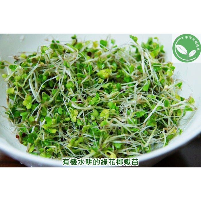 綠花椰種子 青花菜種子 西蘭花 300g 半斤裝紐西蘭活鮮進口可水耕 土耕93 高發芽率 芽菜種子 芽苗菜種子 蝦皮購物