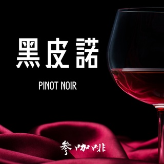 參咖啡 黑皮諾 Pinot noir 哥倫比亞 希望莊園酒香日曬 咖啡豆（可代磨粉）/耳掛包