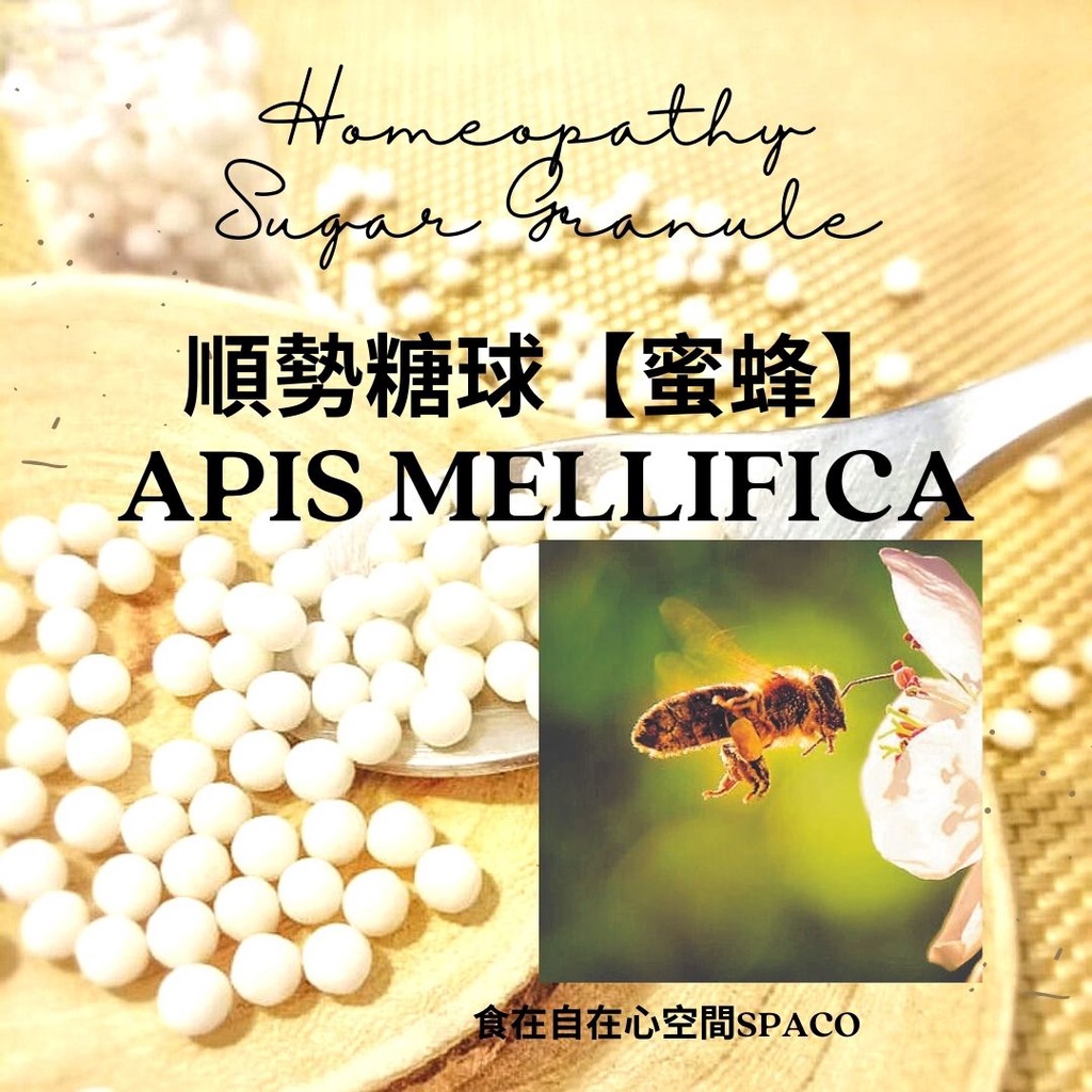 順勢糖球【蜜蜂●Apis mellifica】Homeopathic Granule（愛、嫉妒、忙碌努力、粉紅鼓脹灼刺）