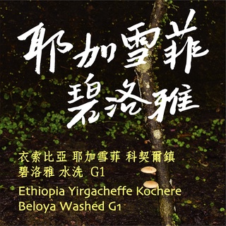 [毫宅咖啡] 衣索比亞 耶加雪菲 柯契爾鎮 碧洛雅 水洗 G1 咖啡豆 250g