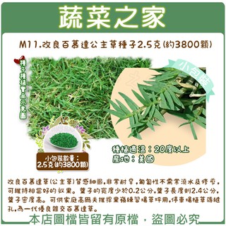 匍匐 優惠推薦 21年2月 蝦皮購物台灣