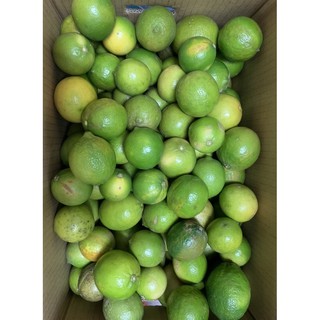 廣天創門 線上商店 蝦皮購物