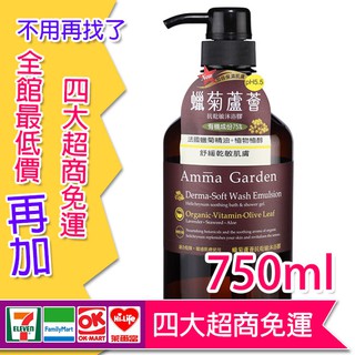 Amma Garden艾瑪花園 750ml 沐浴乳 現貨/四大超商滿額免運-藜麥/忍冬/刺槐/蠟菊蘆薈/檸檬草