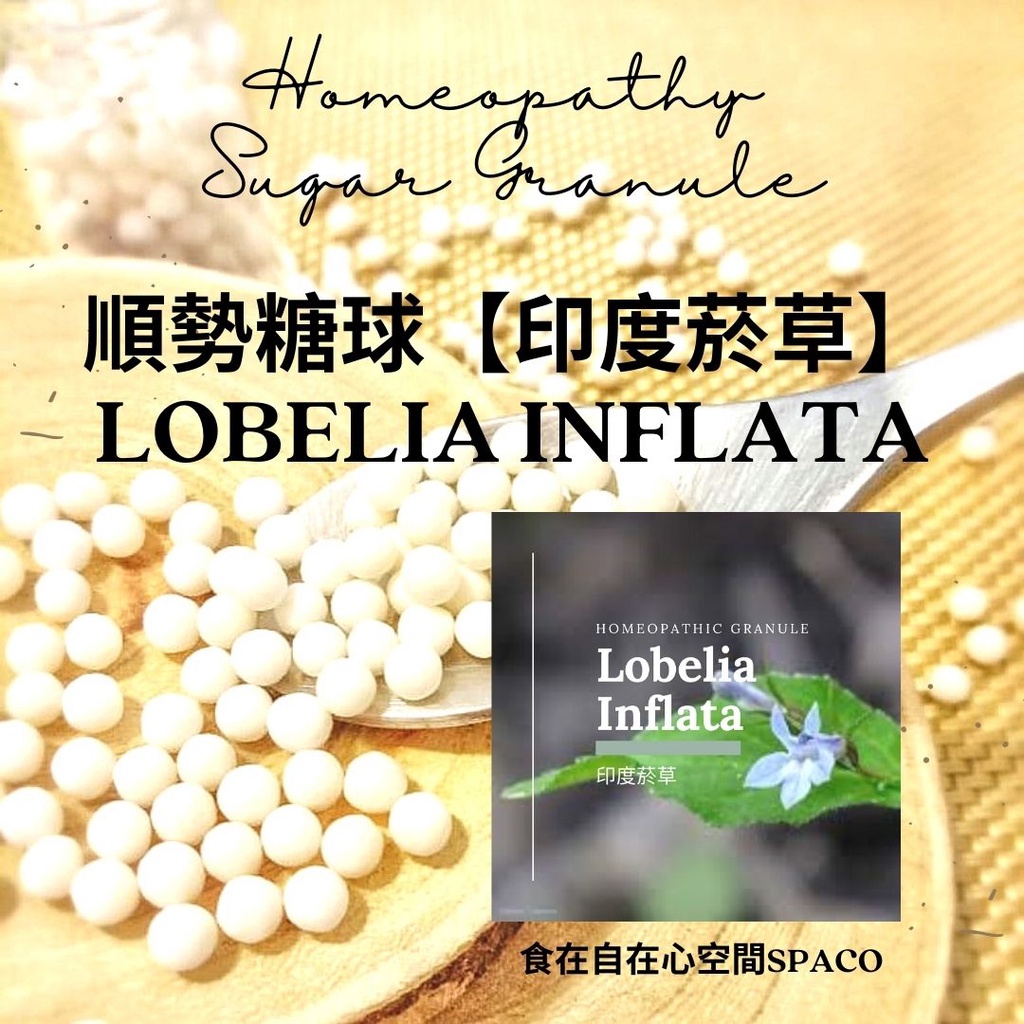 順勢糖球【印度嫣草、半邊蓮 Lobelia Inflata】Homeopathic Granule 9克 食在自在心空間