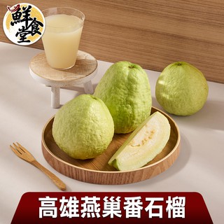 鮮食堂X匯通 高雄燕巢番石榴1/2/4箱(3000g/6~8顆/箱)甘甜清脆 送禮實在 廠商直送