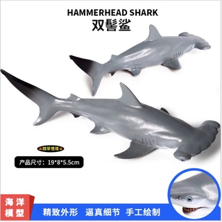 （高品質畫工）模擬 錘頭鯊 槌頭鯊 雙鬢鯊 鯊魚 海洋動物 模型 野生動物 兒童玩具 益智 公仔 SPG