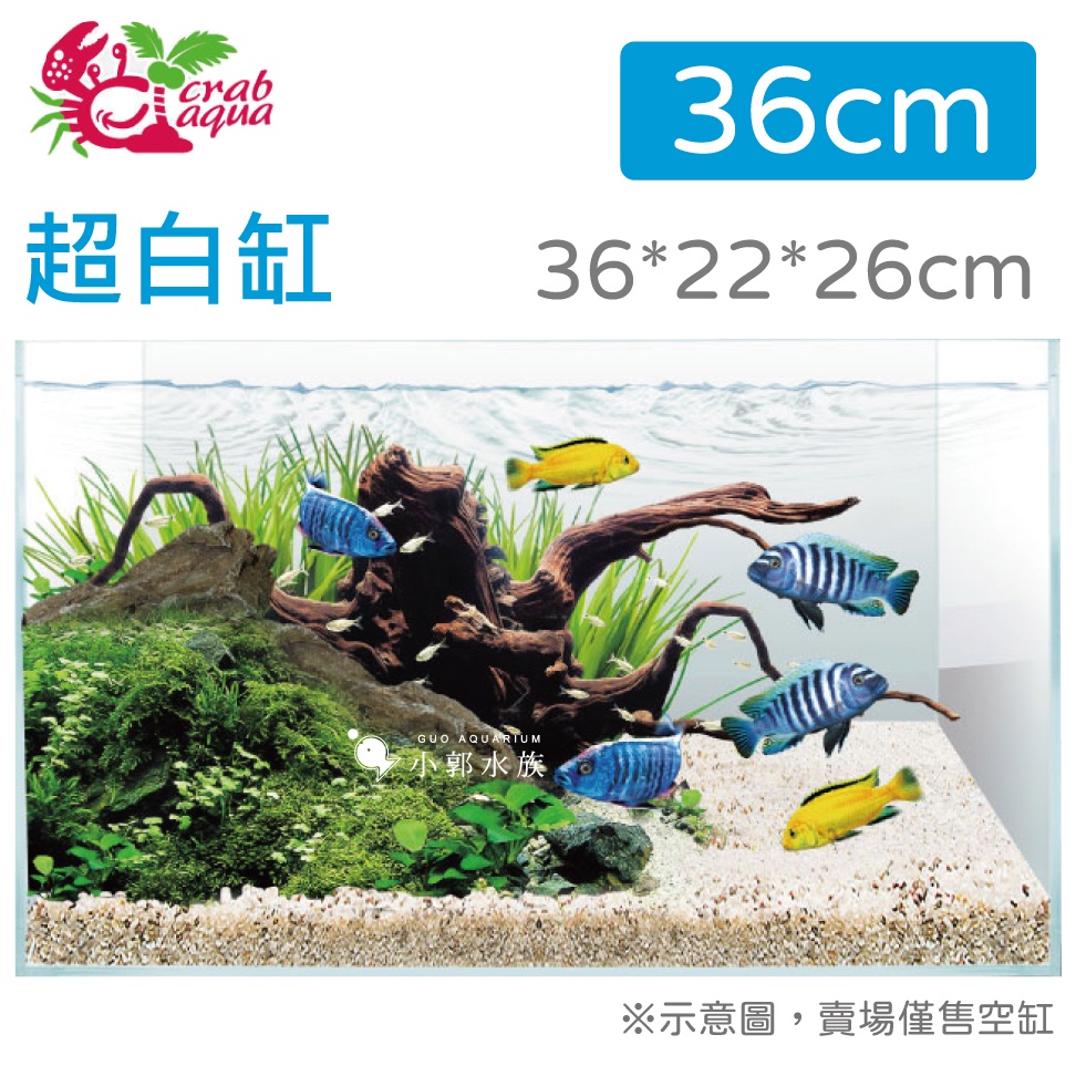 小郭水族-UP 小螃蟹【超白魚缸 36cm（36x22x26）1.2尺缸 】高透明度 魚缸 極具質感 超白缸