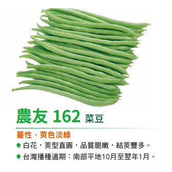 四季豆敏豆 Ptt Dcard討論與高評價網拍商品 21年9月 飛比價格