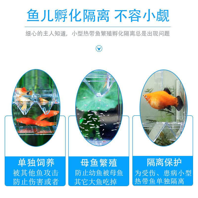 魚類孵化器 優惠推薦 22年5月 蝦皮購物台灣