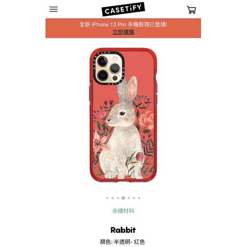 Casetify iphone手機殼 iphone12ProMax專用 二手品
