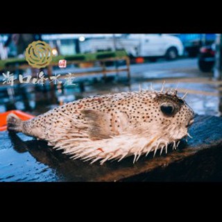 河豚皮 優惠推薦 美食 伴手禮22年3月 蝦皮購物台灣