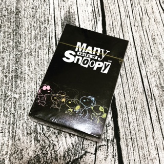 Snoopy Run 路跑2019 撲克牌 桌遊 旅行打發時間 動動腦的好朋友