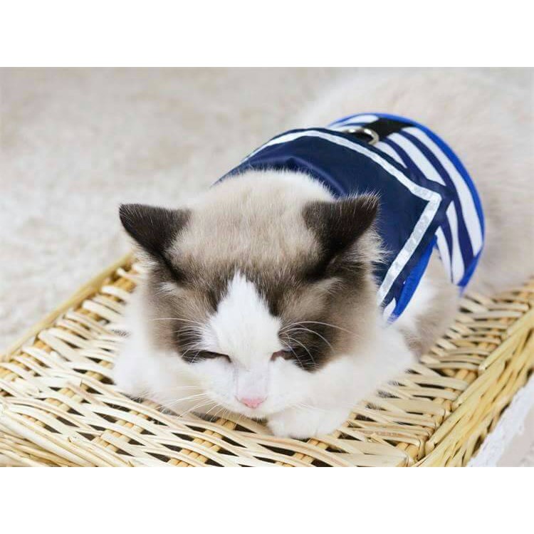 [優選]貓牽引繩貓咪專用背心式 貓帶貓繩子胸背帶項圈溜貓鏈子衣服