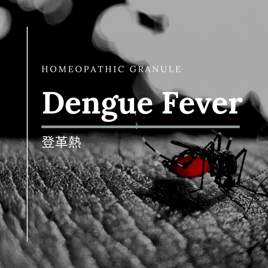 順勢糖球【登革●Dengue Fever】Homeopathic Granule 9克 食在自在心空間