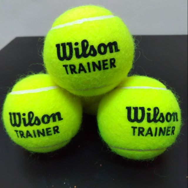 全新Wilson Trainer 網球練習球🎾