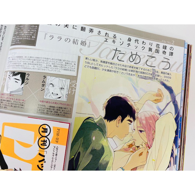 Tp小屋 全新現貨 日文雜誌pash 年12月是黑是白a3 魔道祖師阿松咒術迴戰精靈寶可夢 蝦皮購物
