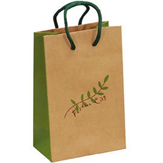 ☆╮Jessice 雜貨小鋪╭☆手提紙袋 4K(大6K) 綠葉 (棉繩+底板 ) 寬17.5高25.5側8cm 25入
