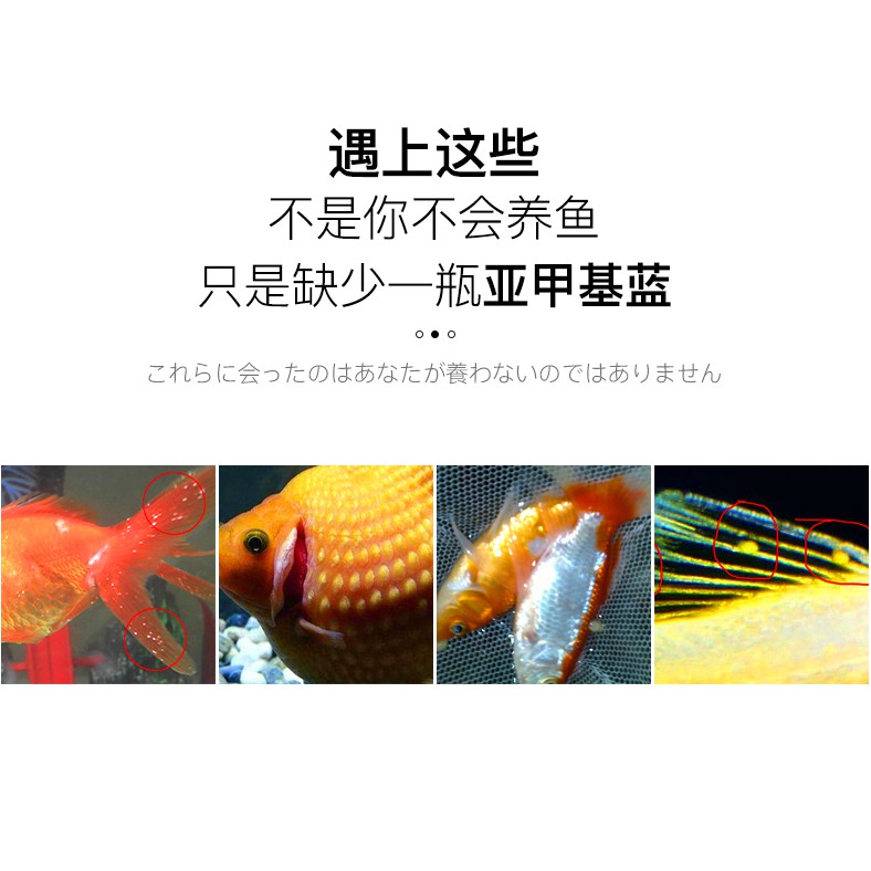 亞甲基藍魚藍精粉觀賞魚金魚血鸚鵡魚缸甲基藍藥水族專用日本黃粉 蝦皮購物