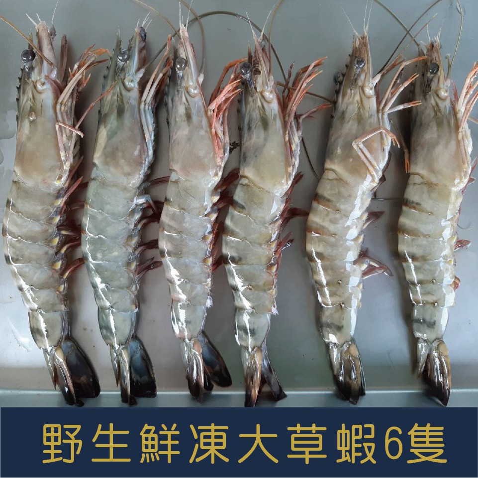 【就是愛海鮮】野生鮮凍大草蝦6p 實重300g±10% 鮮甜美味大草蝦